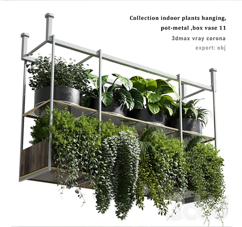 PLANTAS-1.png